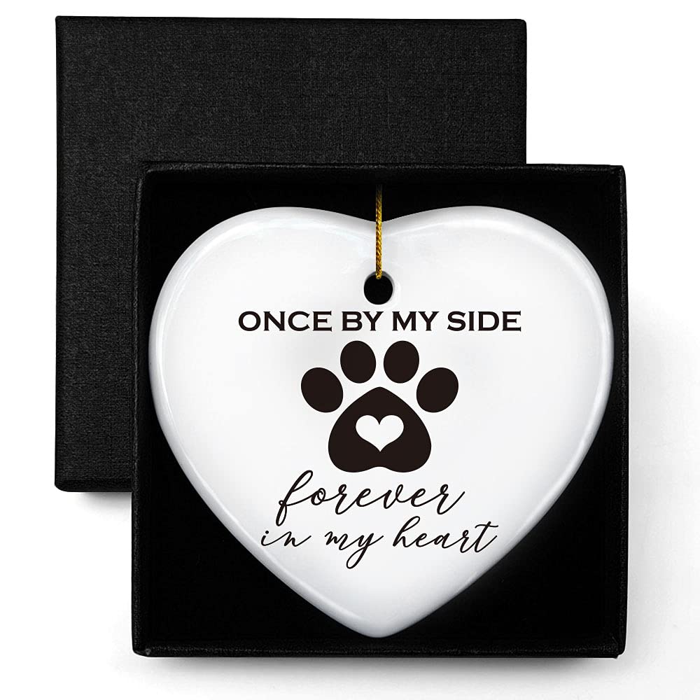 A Importância de Validar sua Dor na Perda de um Animal de Estimação