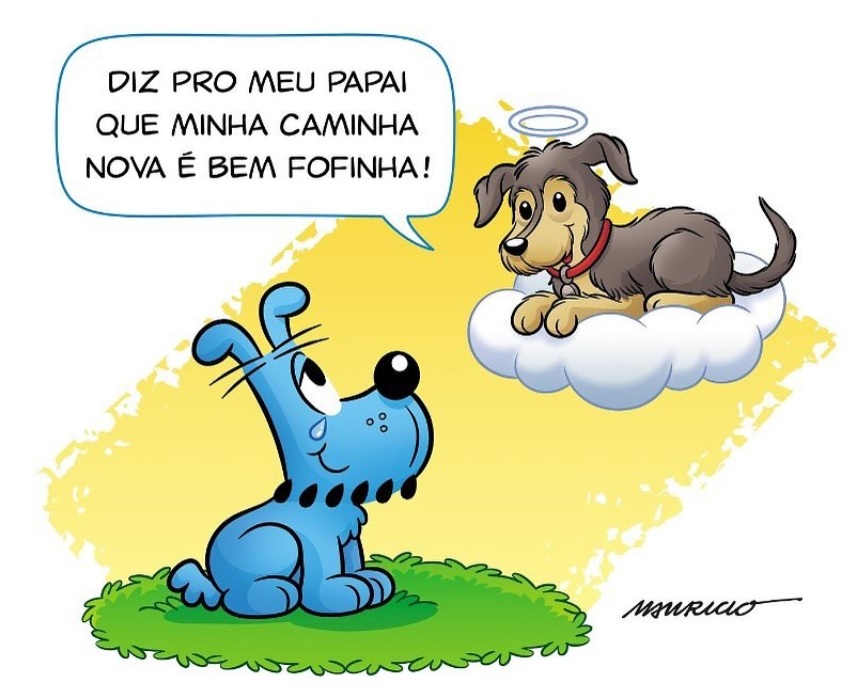 Como Criar um Memorial Significativo para seu Cachorro Falecido