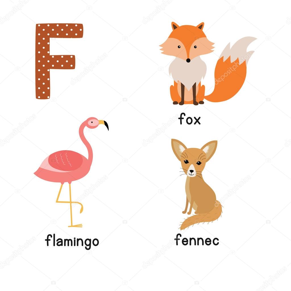 mamíferos exóticos com f