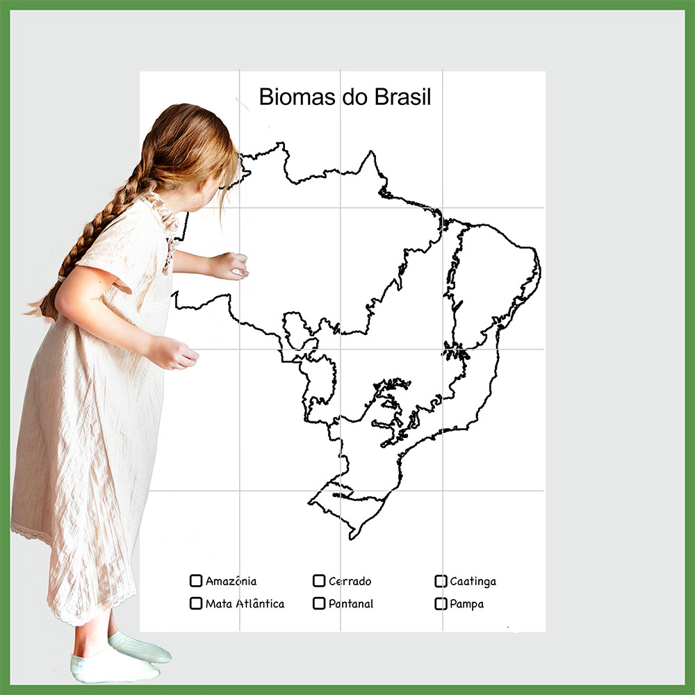 desenho do mapa do brasil com biomas para colorir
