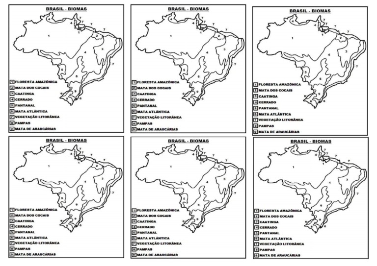 mapa dos biomas brasileiros para pintar