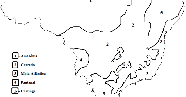 atividade mapa biomas brasil para imprimir