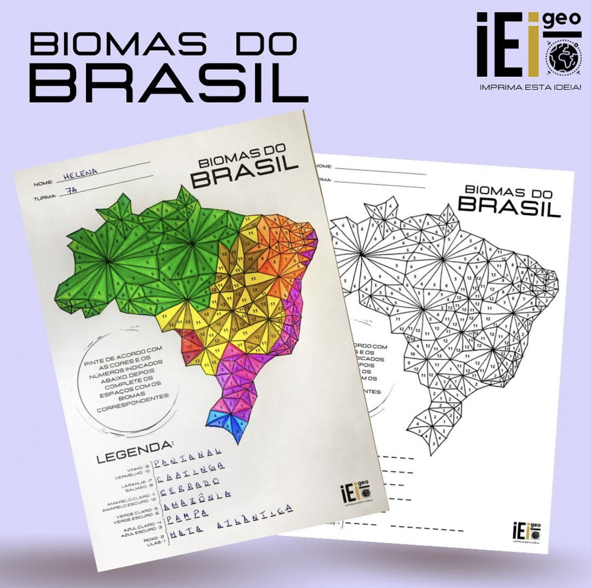 mapa dos 6 biomas brasileiros para colorir