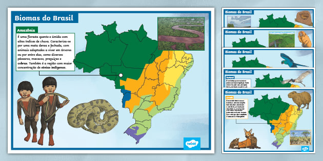 mapa do brasil com biomas para colorir e legenda