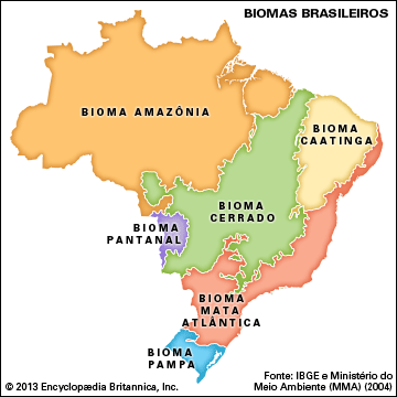 mapa dos biomas brasileiros para colorir pdf