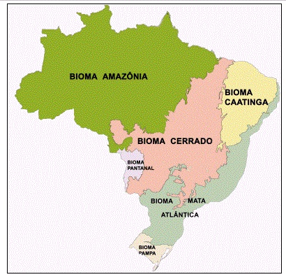 mapa dos biomas brasileiros para colorir com cores sugeridas