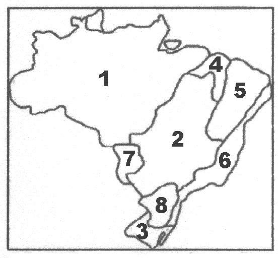 mapa dos 6 biomas brasileiros para colorir