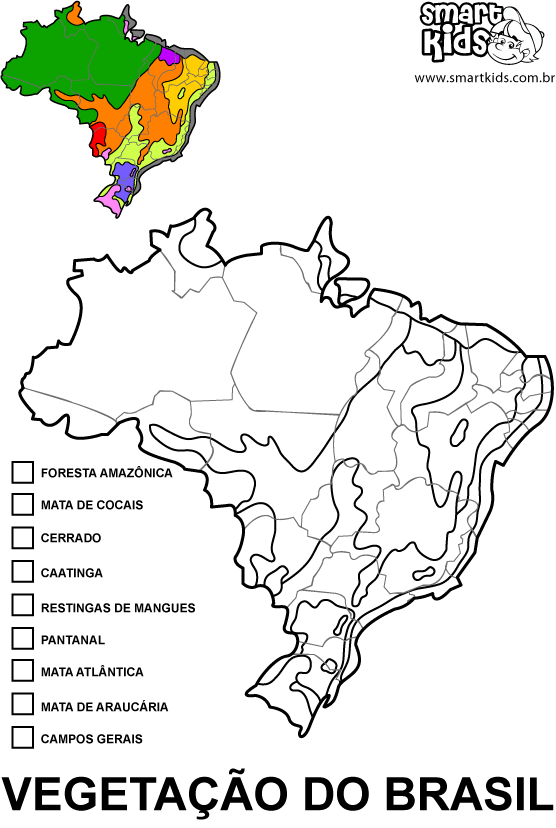 mapa dos biomas brasileiros para colorir com nome