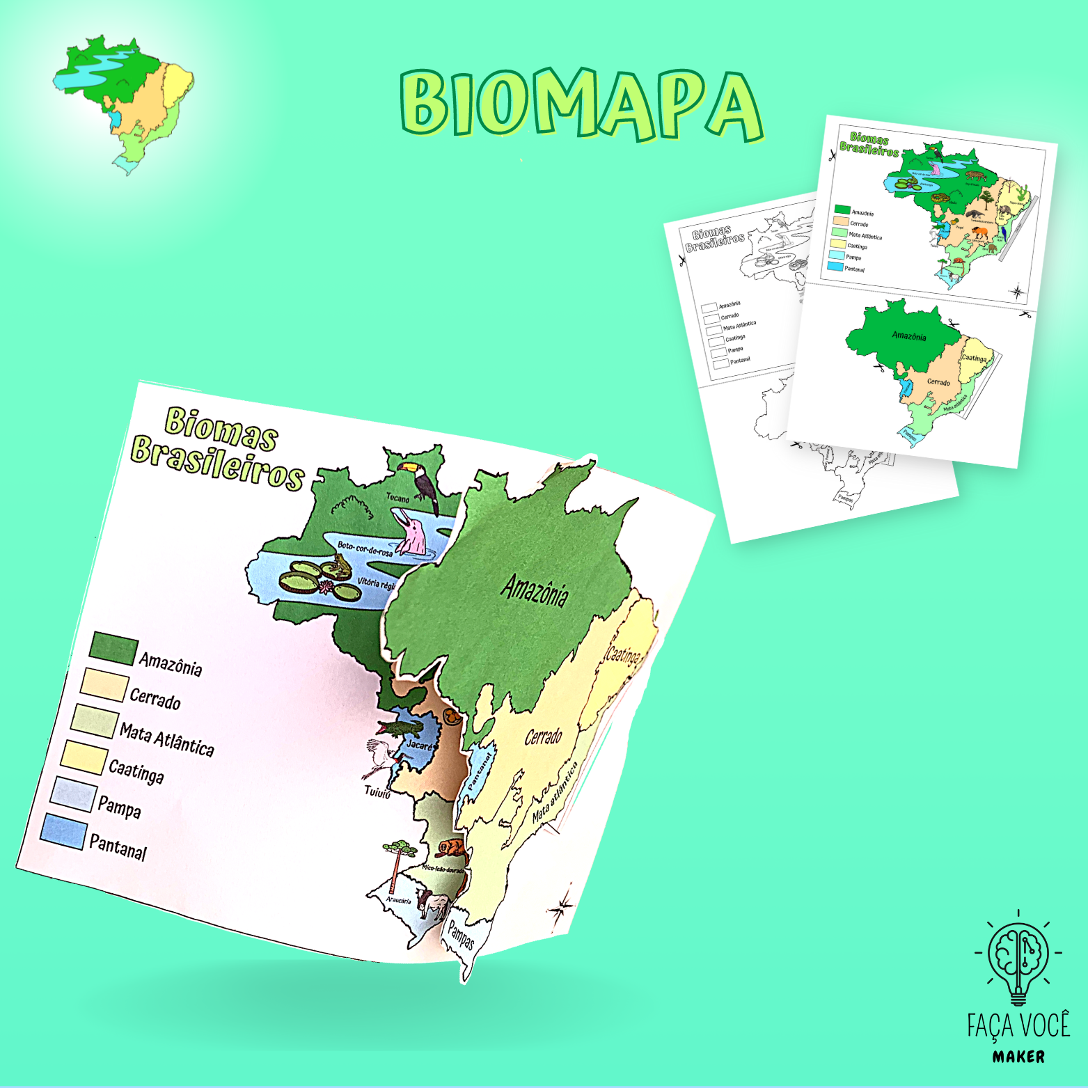 mapa dos biomas brasileiros para colorir pdf