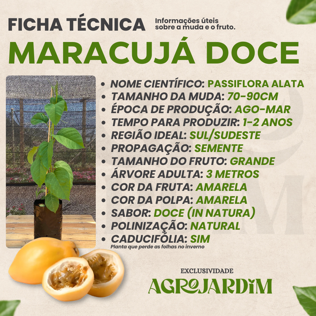 maracuja beneficios para que serve