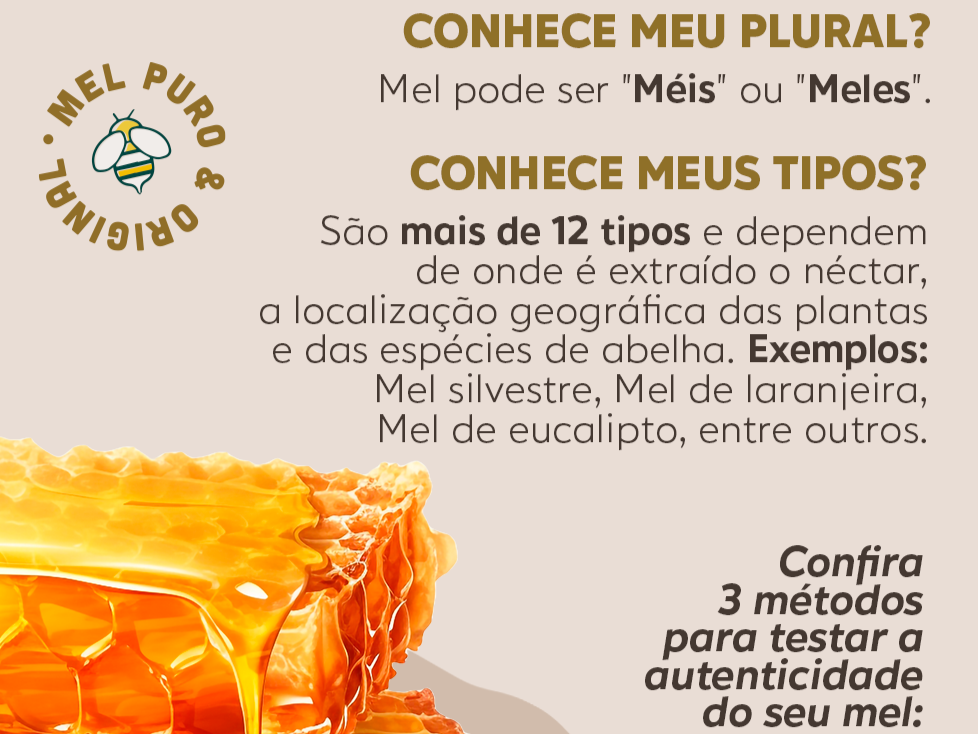 O Poder do Mel: Um Aliado Natural para Imunidade, Digestão e Sono