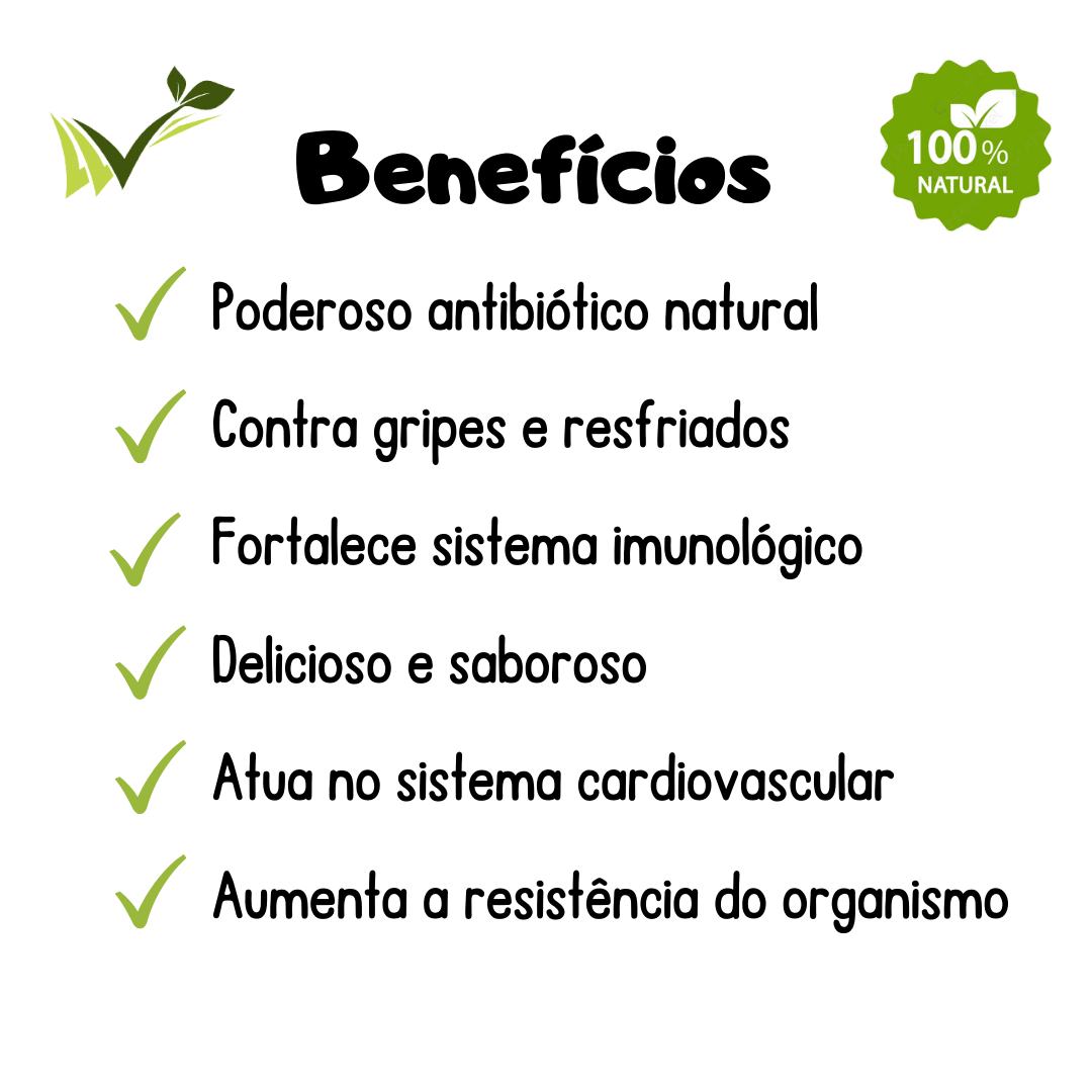 Mel Puro: Desvende Todos os Benefícios para Sua Saúde e Bem-Estar