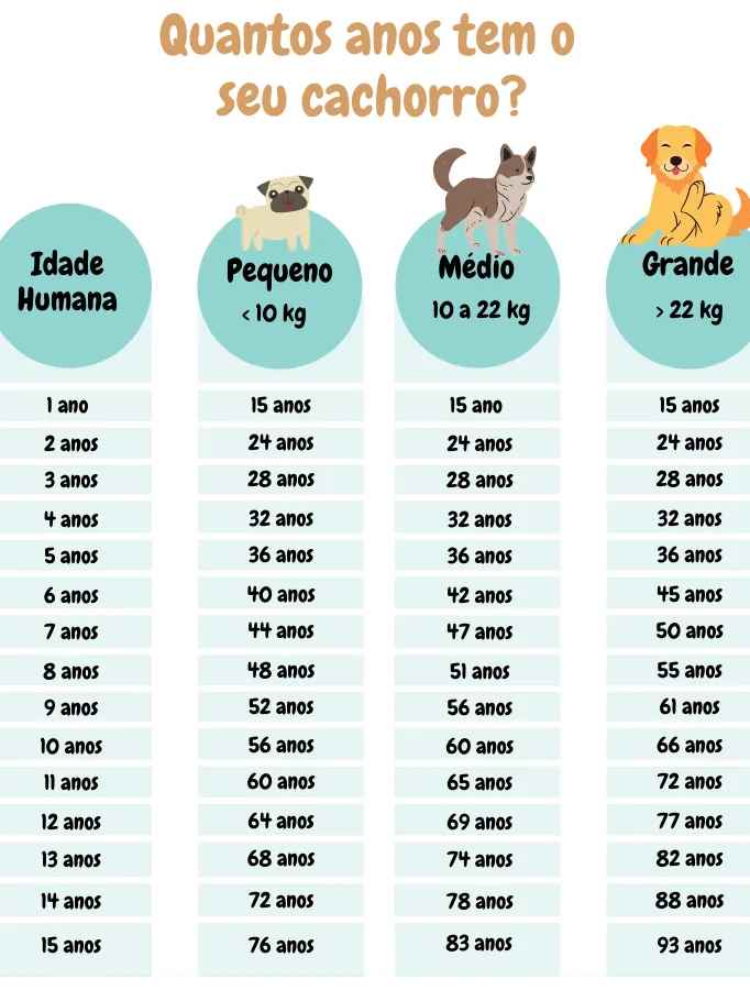 melhores dicas para calcular idade do seu cachorro