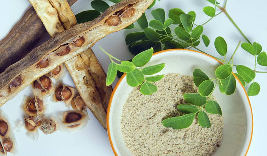 moringa em pó custo beneficio vale a pena