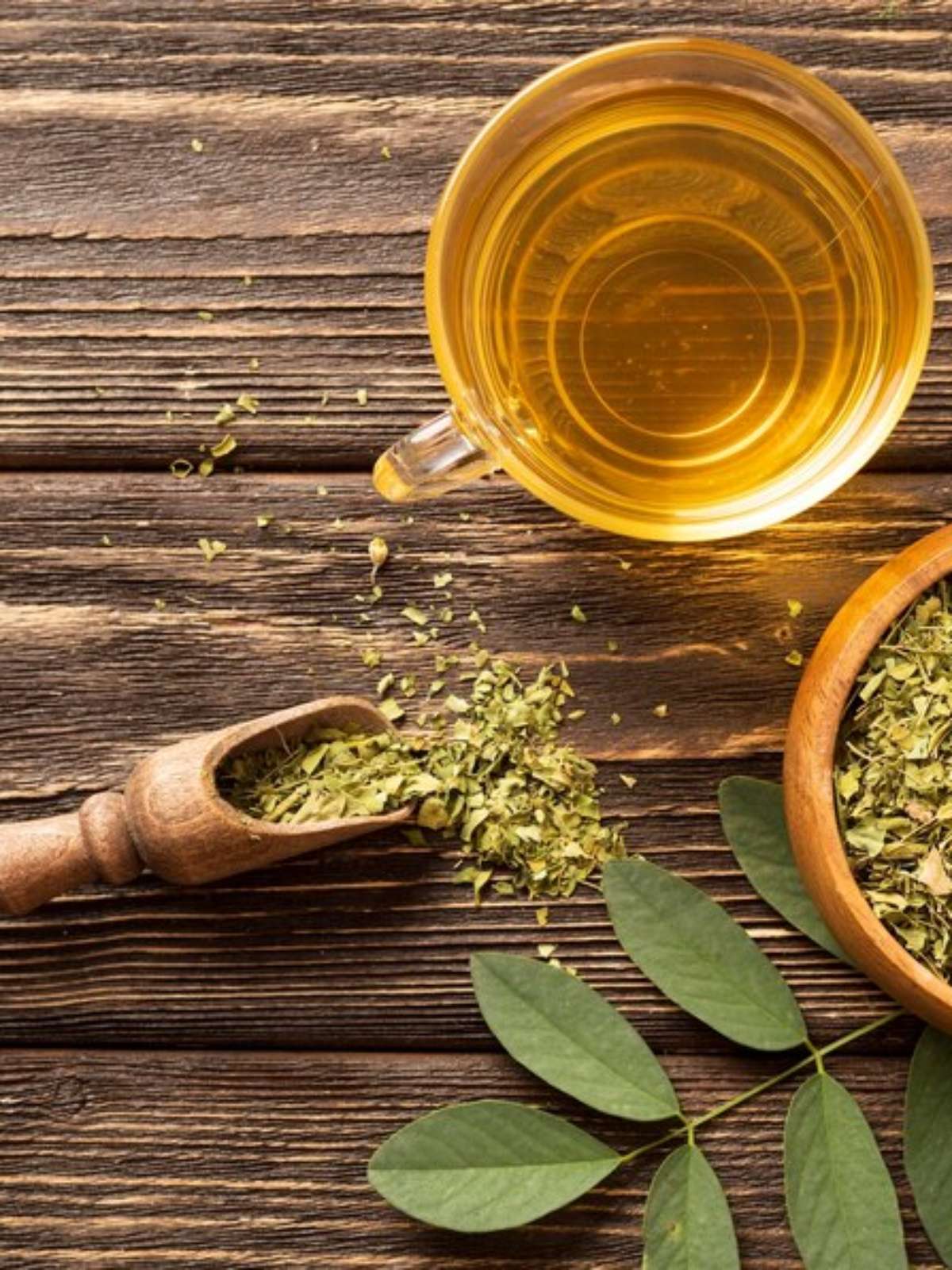 melhores formas criativas de usar moringa em pó