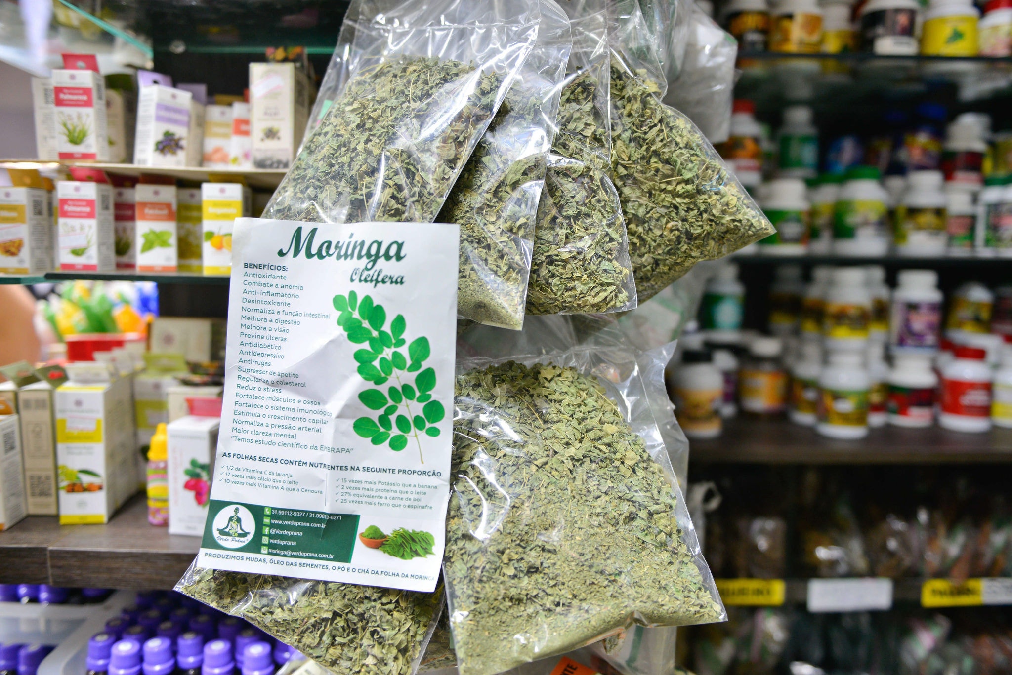 melhores formas criativas de usar moringa em pó