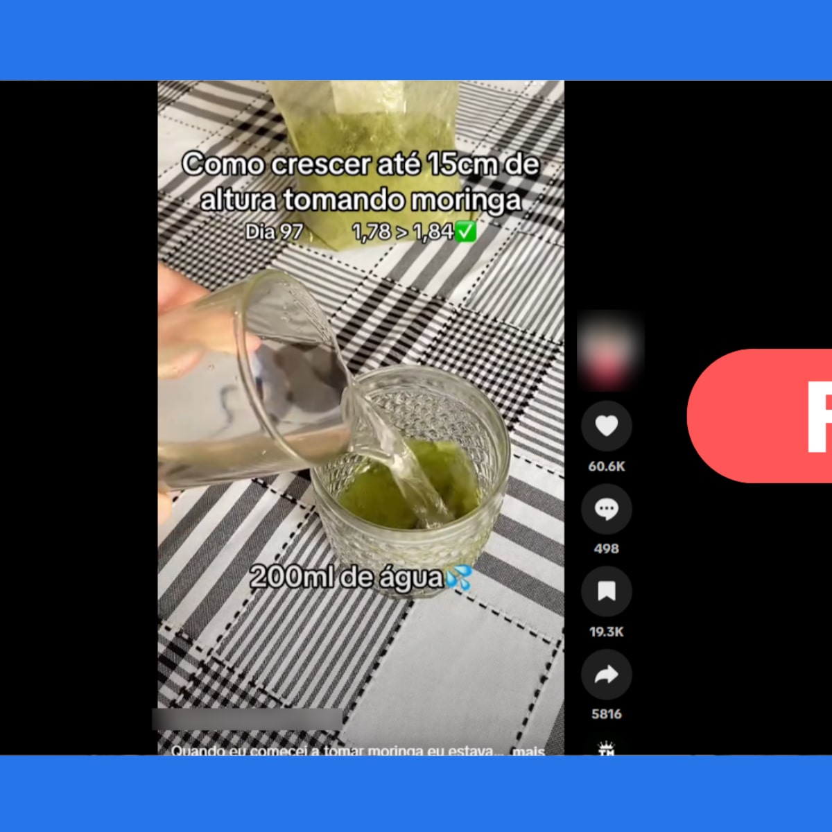 moringa em pó vs matcha qual o melhor