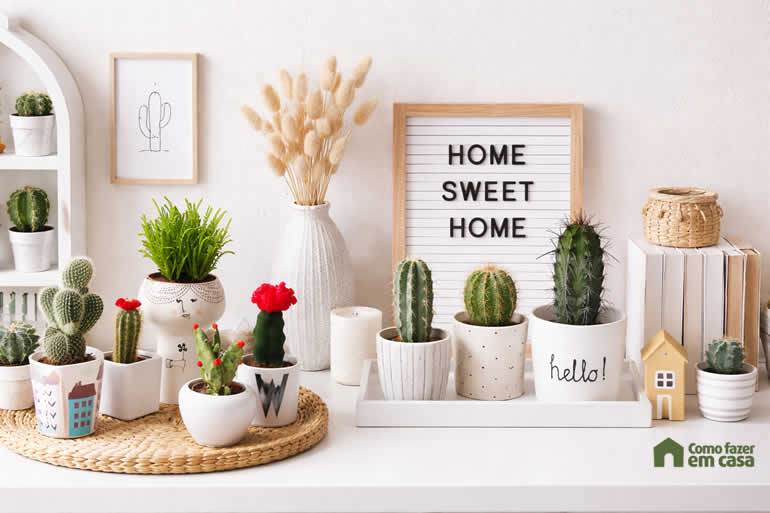 cacto dentro ou fora de casa feng shui