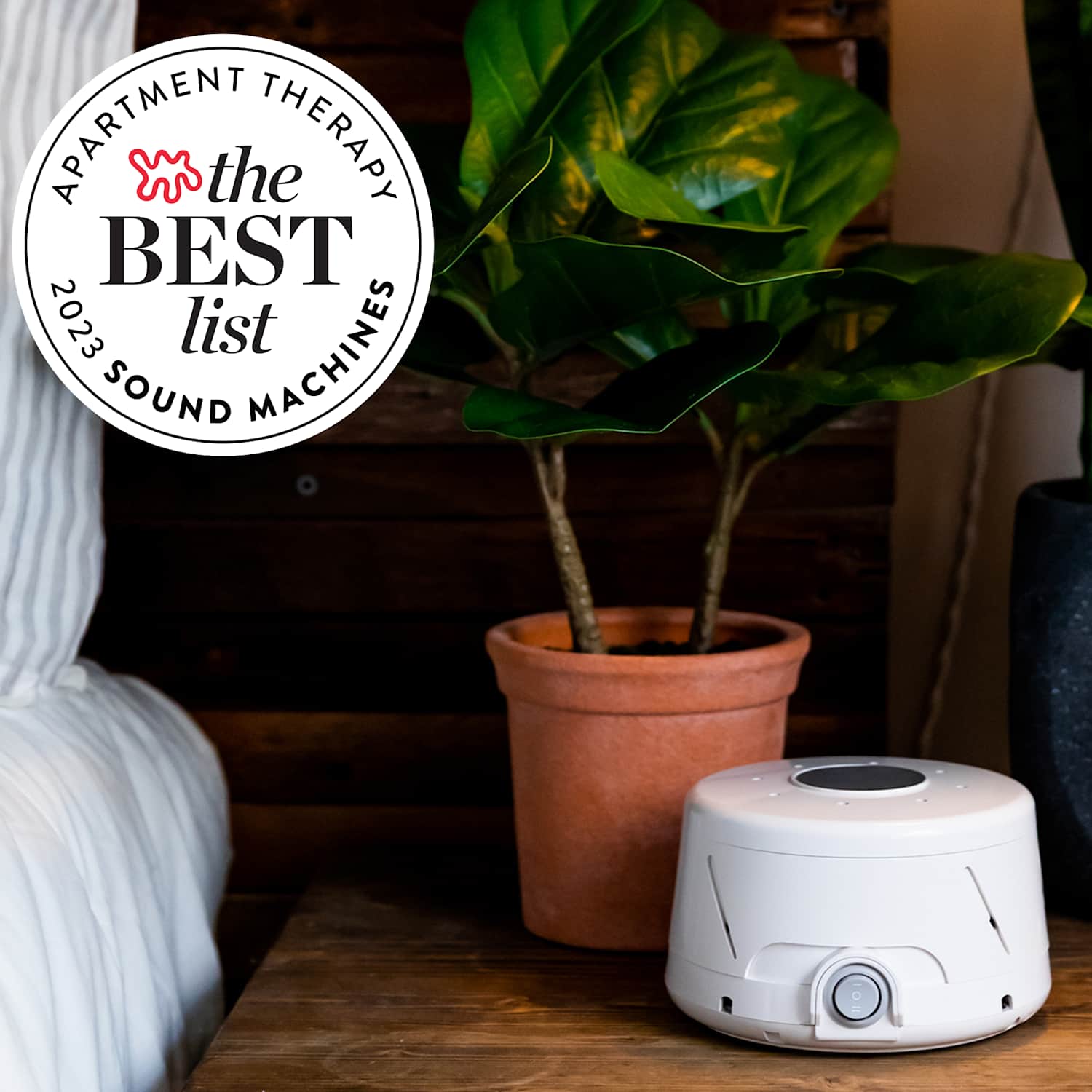 Guia completo das melhores Party Boxes para festas