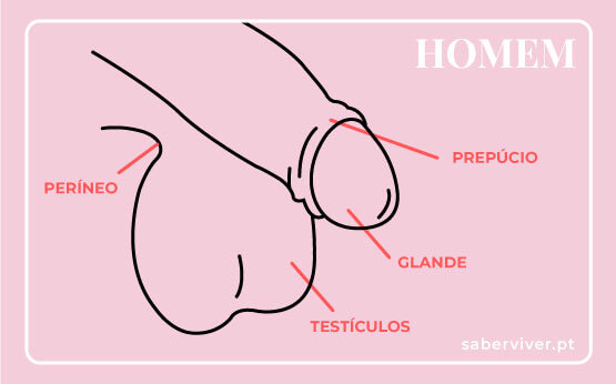 melhores tecnicas para sexo oral sem engasgar