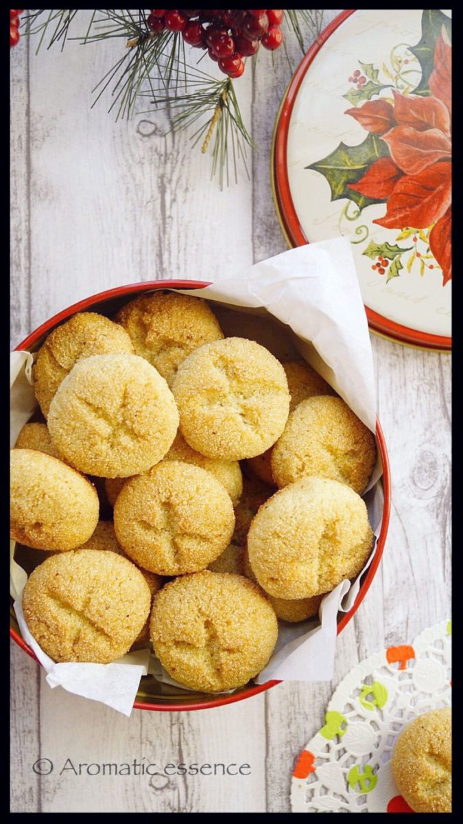 Guia completo: Modelos Melissa Polibolha para todas as idades