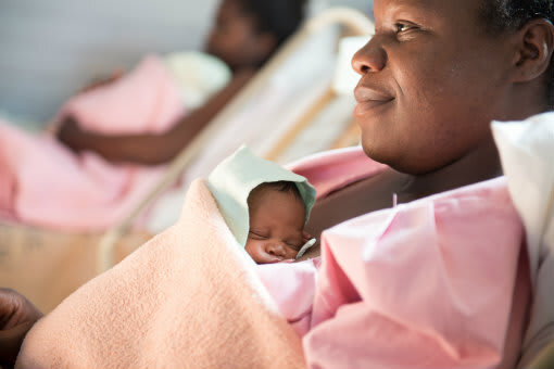 Guia Completo: Entenda as 3 Etapas do Método Canguru