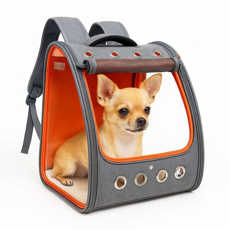 Mochilas para cães: modelos astronauta vs. canguru para passeios urbanos