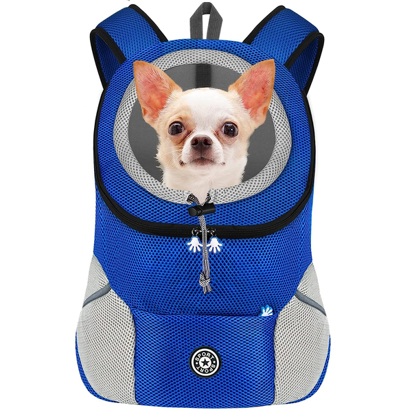 Transporte de cães em viagens: dicas e recomendações de mochilas