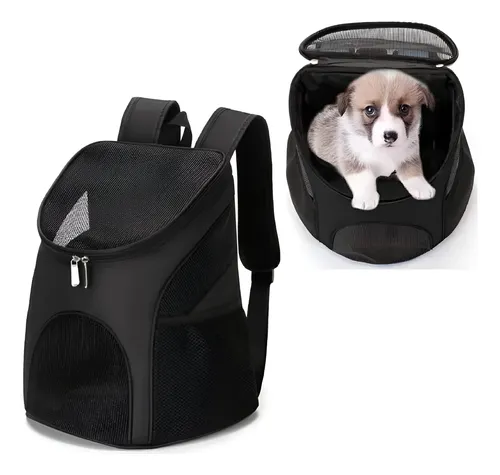Mochilas para cães: modelos astronauta vs. canguru para passeios urbanos