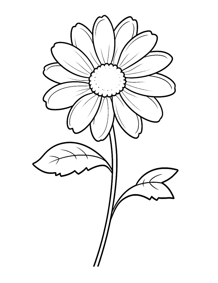 moldes de flores para biscuit