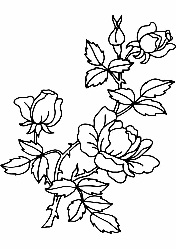moldes de flores detalhadas para artesanato