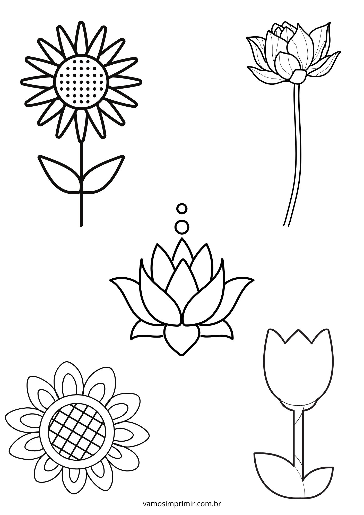 moldes de flores para biscuit