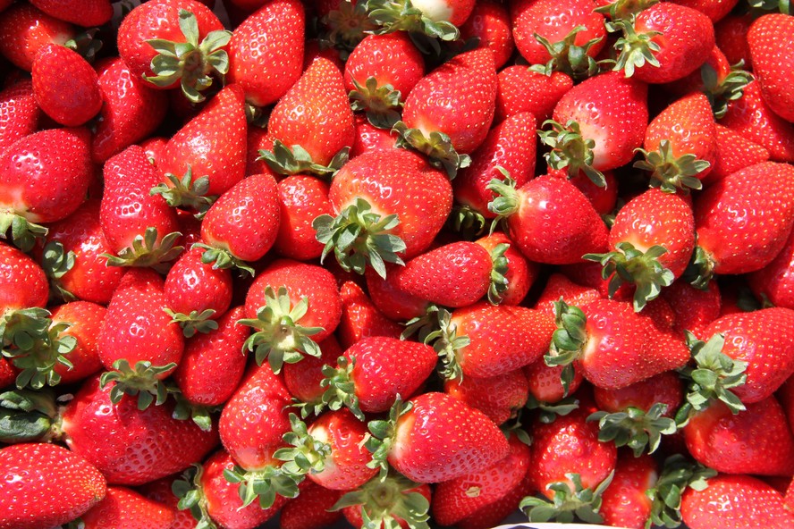 Morango: Guia Completo de Benefícios e Riscos para a Saúde; Desvendando o Morango: Tudo Sobre Seus Prós e Contras Nutricionais; Morango na Dieta: Como Consumir para Aproveitar o Melhor e Evitar o Pior; Morango Orgânico vs. Convencional: Qual a Melhor Escolha para Sua Saúde?; Mitos e Verdades do Morango: Impacto na Imunidade