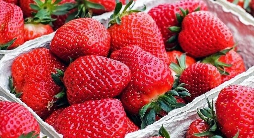 Coração e Digestão