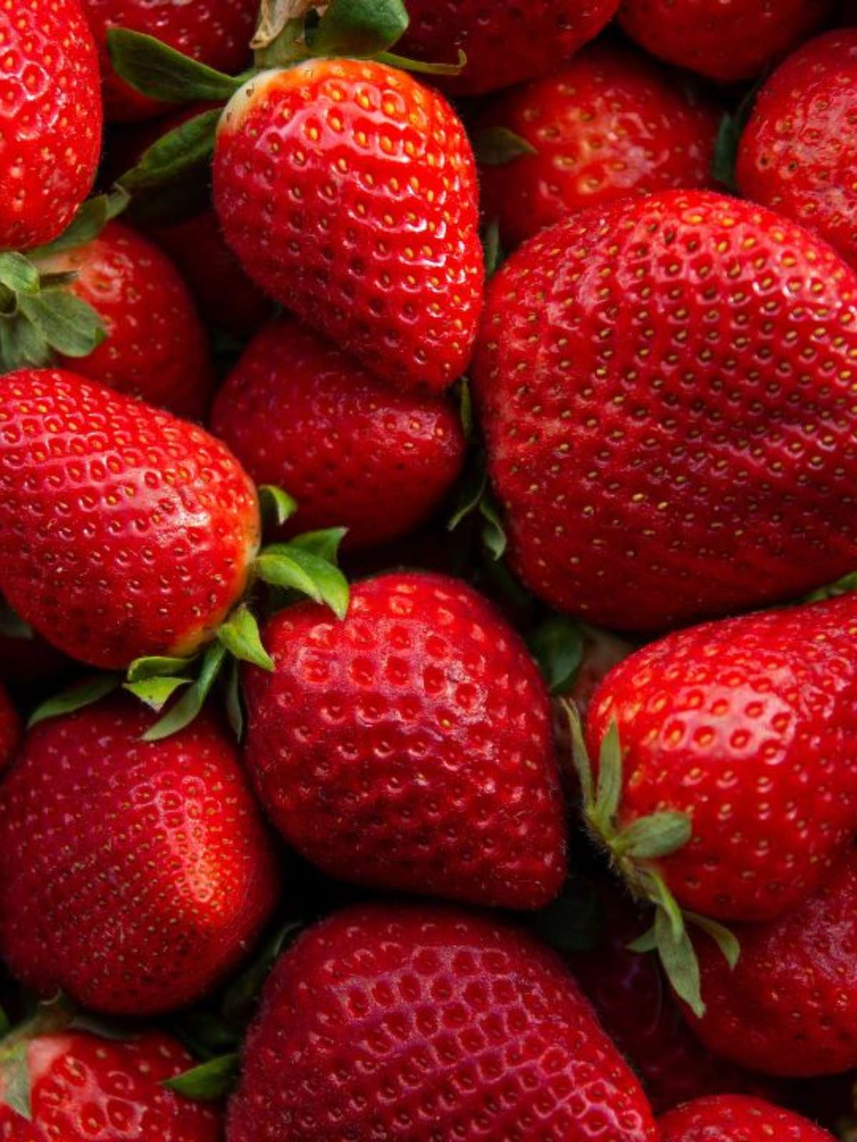 Morango Beneficios E Maleficios