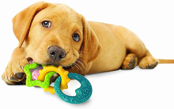 mordedor para filhote aliviar dentição