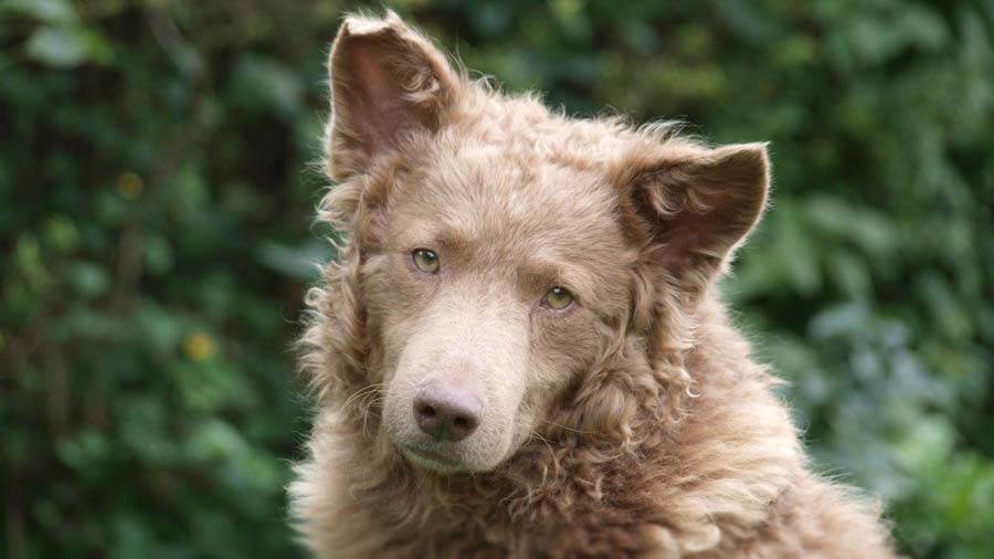 museu interativo UEM