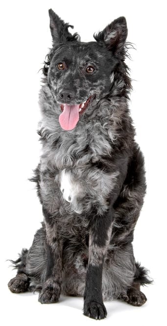 roupas femininas Mudi