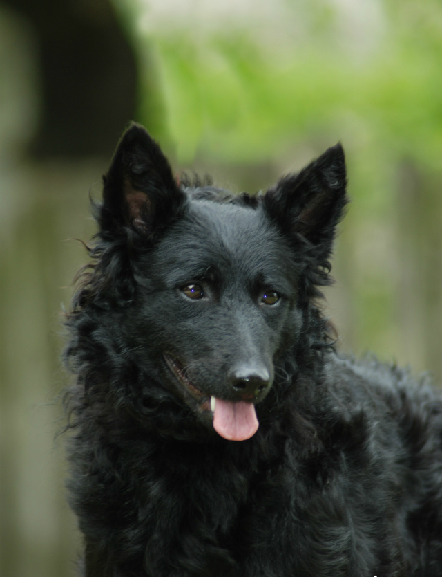 imperador chinês Mu Di