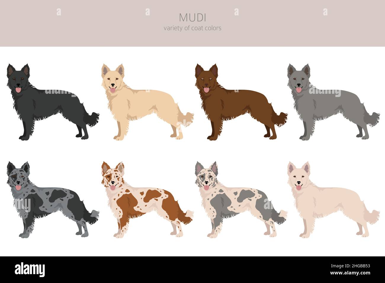 museu interativo UEM