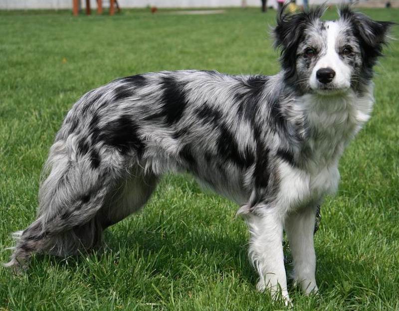 imperador chinês Mu Di