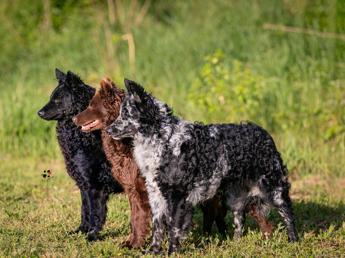 museu interativo UEM