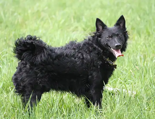 museu interativo UEM