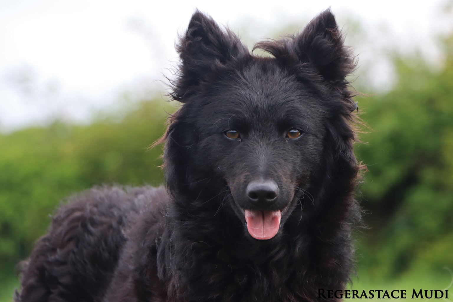 roupas femininas Mudi