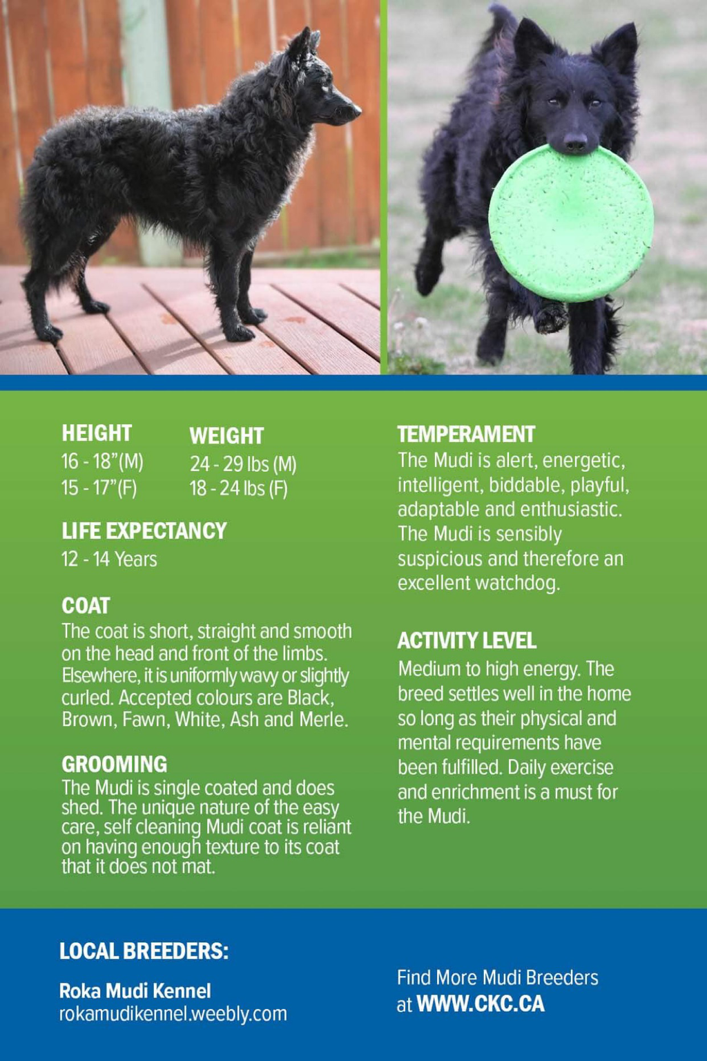 imperador chinês Mu Di