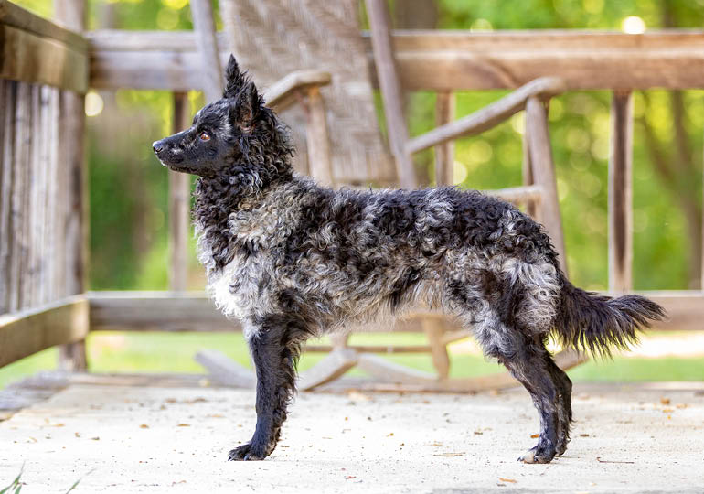 roupas femininas Mudi