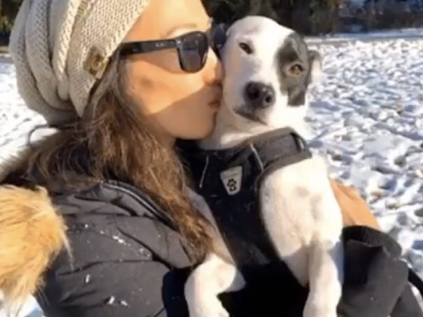 atividades com cachorros para mulheres