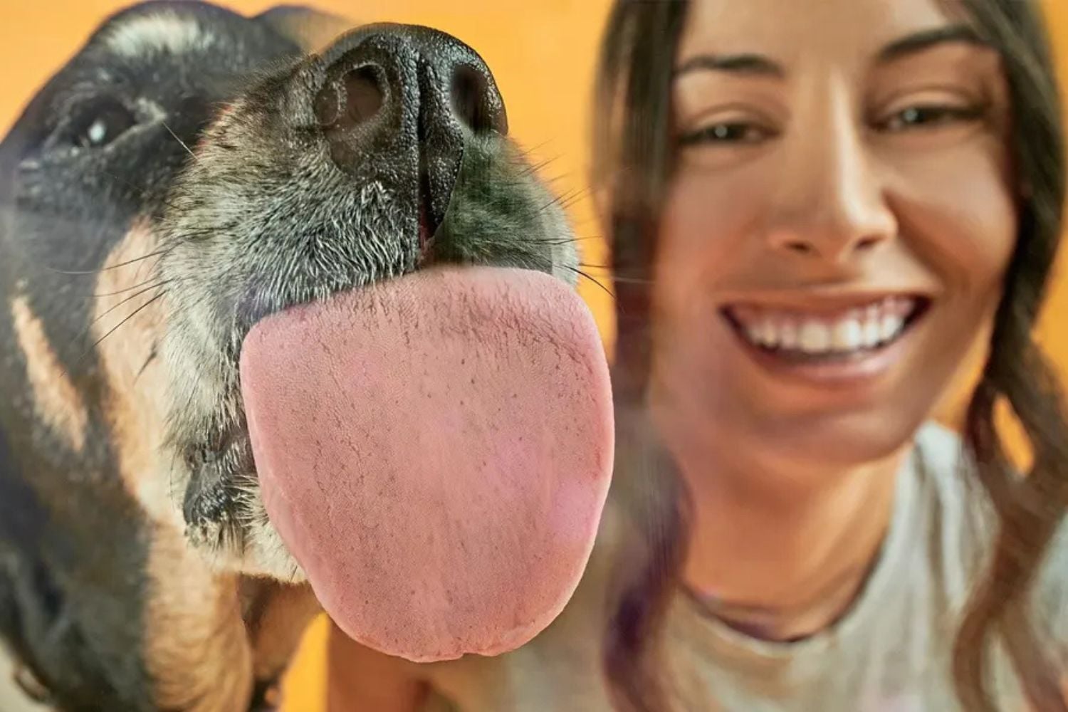 mulheres com cães em parques