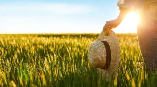 Eventos e Prêmios que Celebram o Protagonismo Feminino no Campo