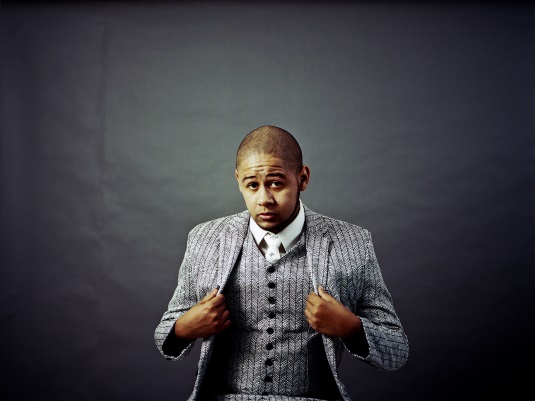 fenômenos virais música 2013